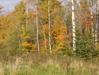 010 200px x 152px